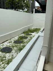 Kovan Road (D19), Terrace #588739281